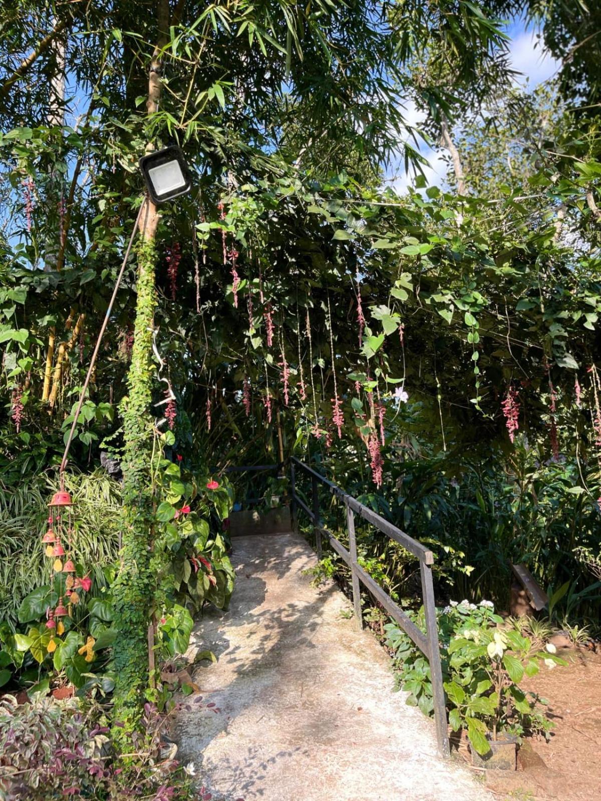 Vila Lush Acres Thekkady Exteriér fotografie