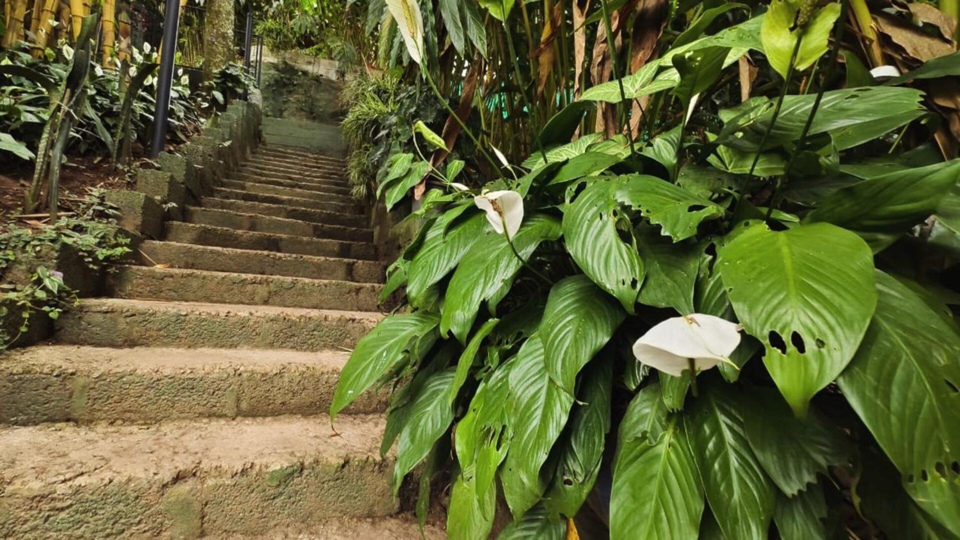Vila Lush Acres Thekkady Exteriér fotografie